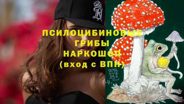 мяу мяу мука Алзамай