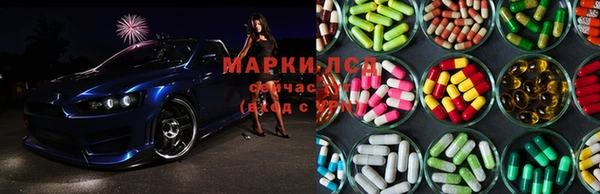 мяу мяу мука Алзамай
