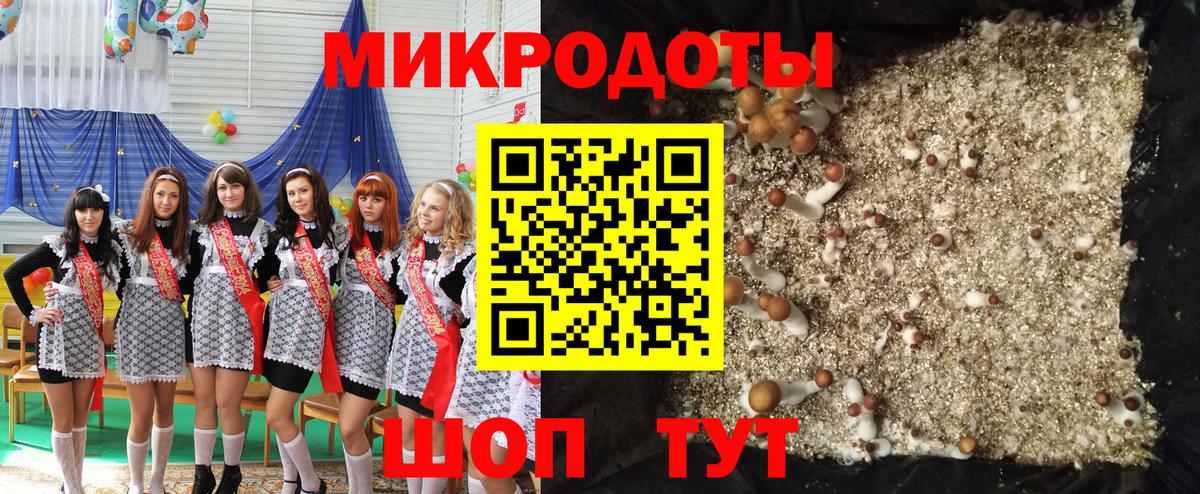 Псилоцибиновые грибы MAGIC MUSHROOMS  наркота  Рубцовск  Вход с VPN 